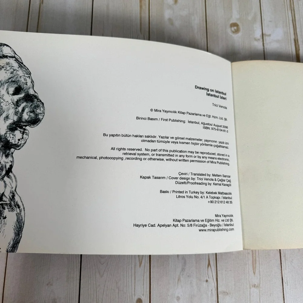 Drawing on Istanbul Trici Venola 2008 First Edition Art Sketch Travel
